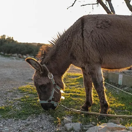 컨트리하우스 Aldea Ecorural *